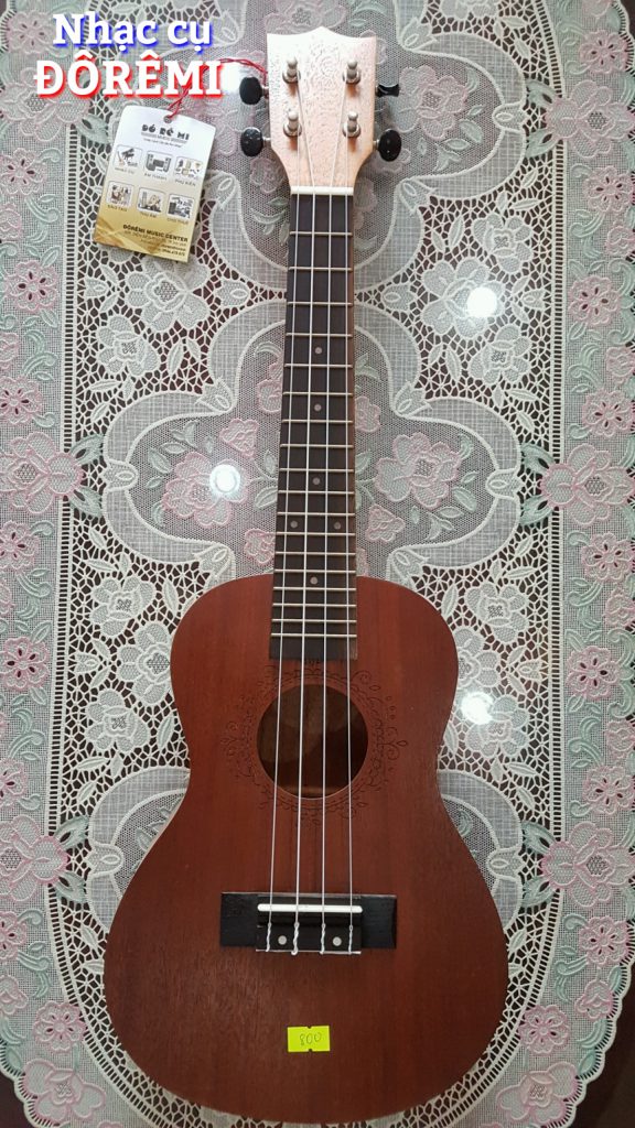 Công Ty TNHH Âm Nhạc Đồ Rê Mi