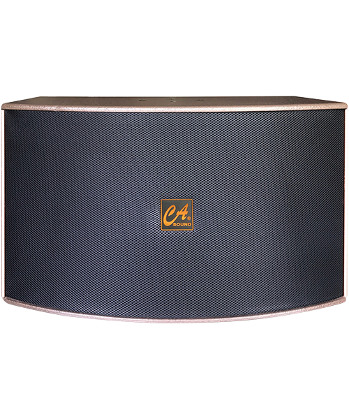 Công Ty TNHH Âm Nhạc Đồ Rê Mi