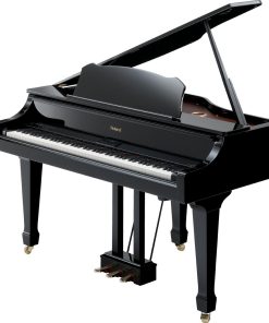 Roland RG-3F
