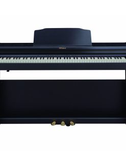 Roland RP-501R