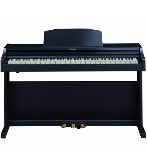 Roland RP-501R
