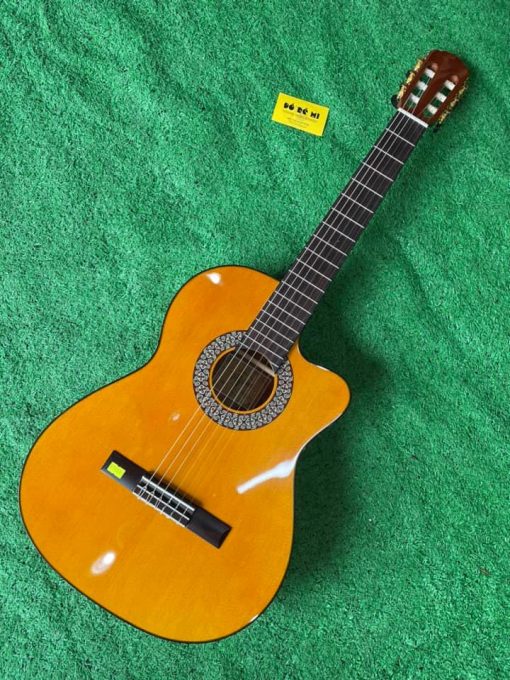 Đàn Guitar Classic Tagima