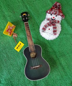 Đàn Ukulele gỗ size Concert TOKADO