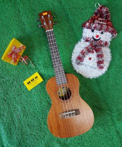 Đàn Ukulele gỗ size Concert