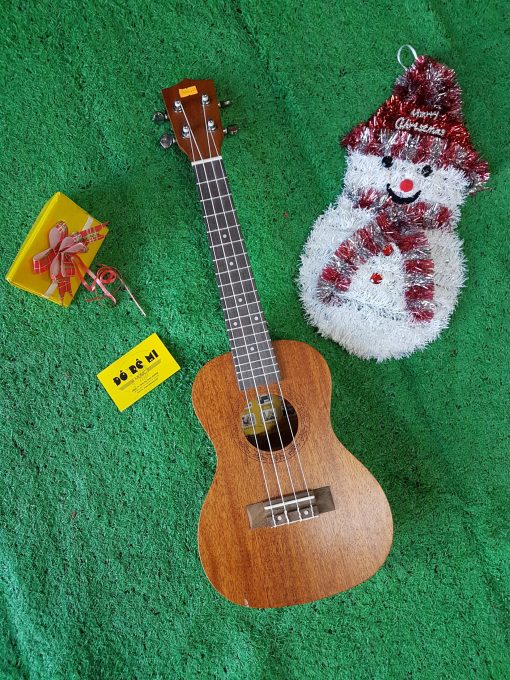 Đàn Ukulele gỗ size Concert