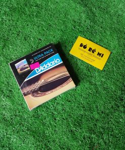 Dây D'Addario EZ910_Ẹ26