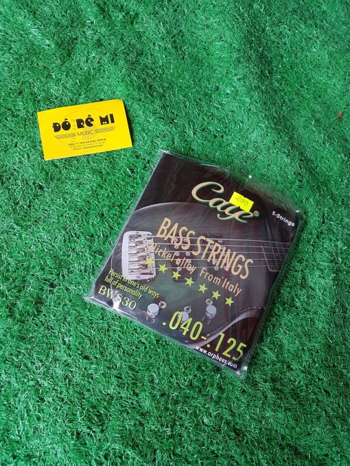 Dây Guitar Bass CAYE bộ 5 dây
