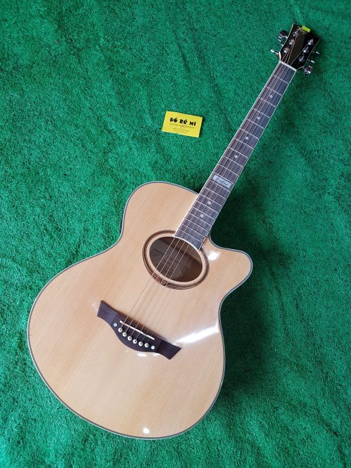 Đàn Guitar Acoustic Tagima EQ