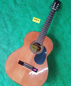 Đàn Guitar Classic VN C29