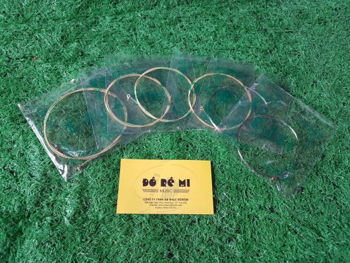 Dây Guitar Deviser PX_A30 - Hình ảnh 2