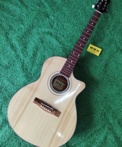 Đàn Guitar Acoustic VE99