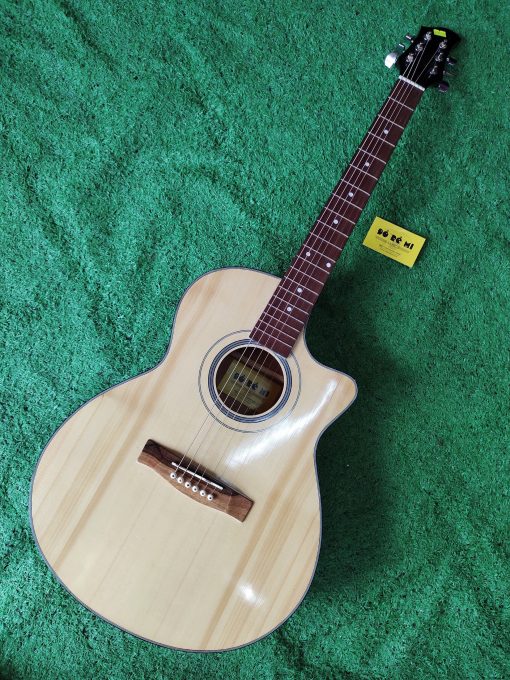 Đàn Guitar Acoustic VE99