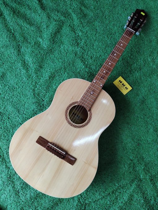 Đàn Guitar Acoustic VE69