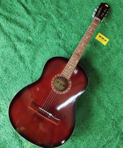 Đàn Guitar Acoustic VE69 Nâu