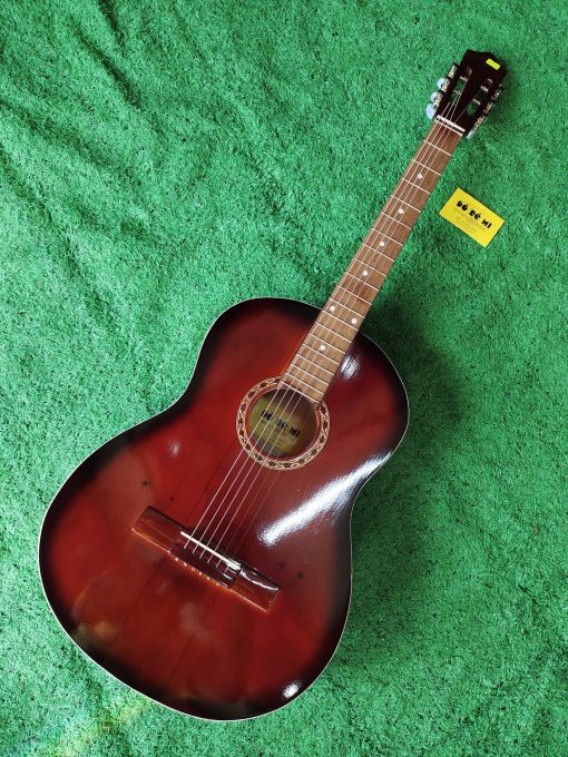 Đàn Guitar Acoustic VE69 Nâu