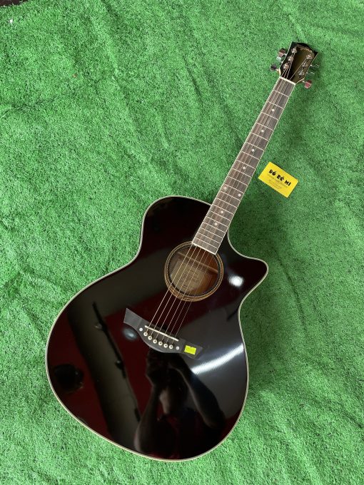 Đàn Guitar Acoustic Tagima EQ