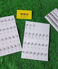 Dán nốt đàn Piano, Organ