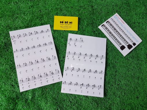 Dán nốt đàn Piano, Organ