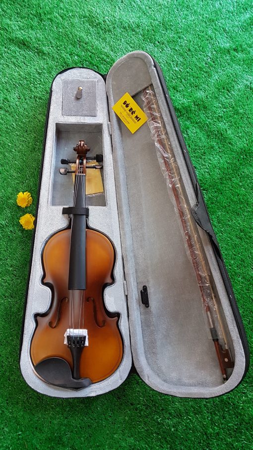 Đàn Violin size 4/4 - Hình ảnh 2