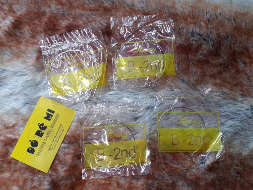 Dây Guitar Acoustic lẻ số 2