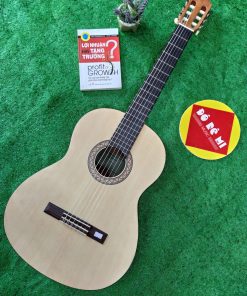 Đàn Guitar Classic Yamaha C40M