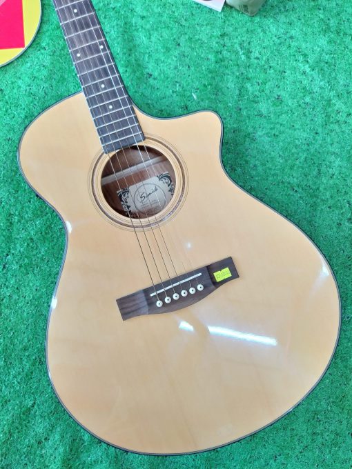 Đàn Guitar Acoustic Samick EQ - Hình ảnh 2