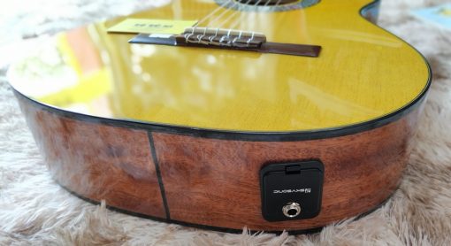 Đàn Guitar Flamenco EQ JX-10G - Hình ảnh 10