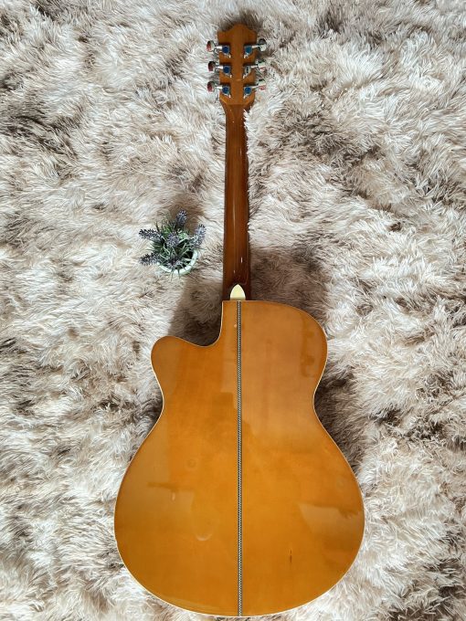 Đàn Guitar Tagima EQ (gỗ) - Hình ảnh 7