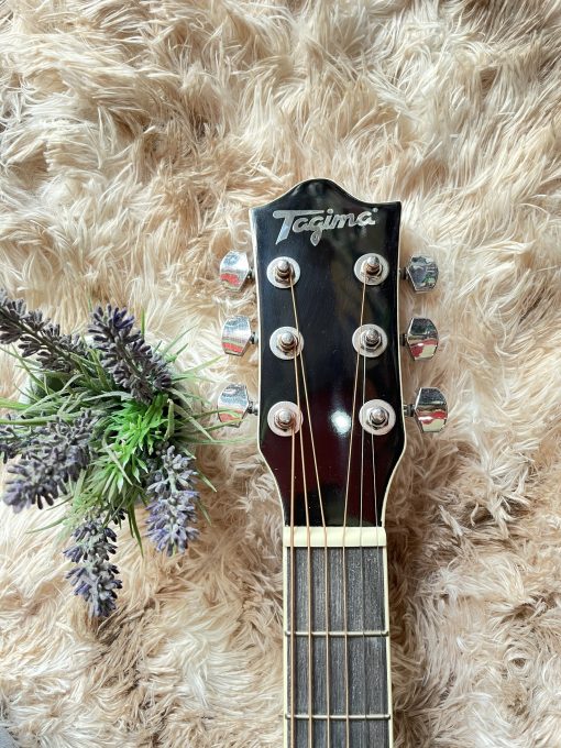Đàn Guitar Tagima EQ (gỗ) - Hình ảnh 6