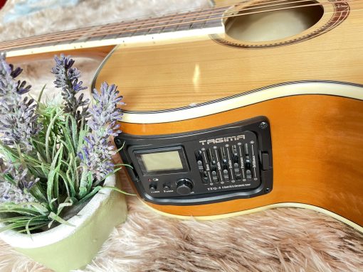 Đàn Guitar Tagima EQ (gỗ) - Hình ảnh 4