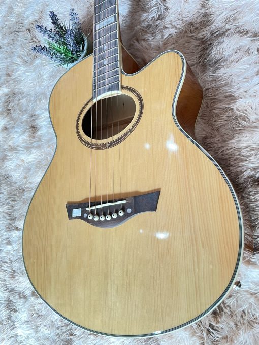 Đàn Guitar Tagima EQ (gỗ) - Hình ảnh 3