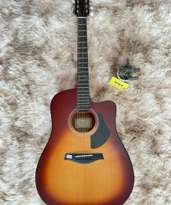 Đàn Guitar Rosen G15