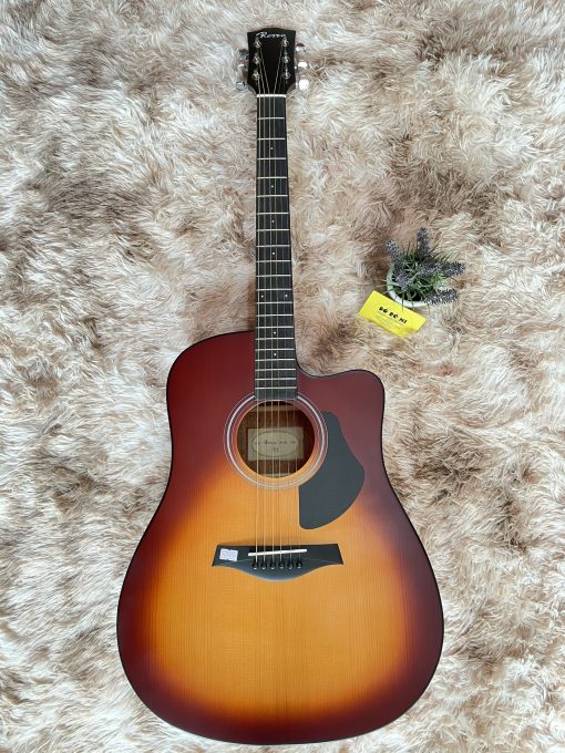 Đàn Guitar Rosen G15