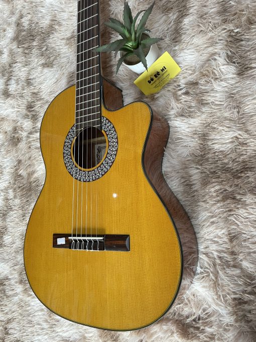 Đàn Guitar Flamenco JX-10G - Hình ảnh 3