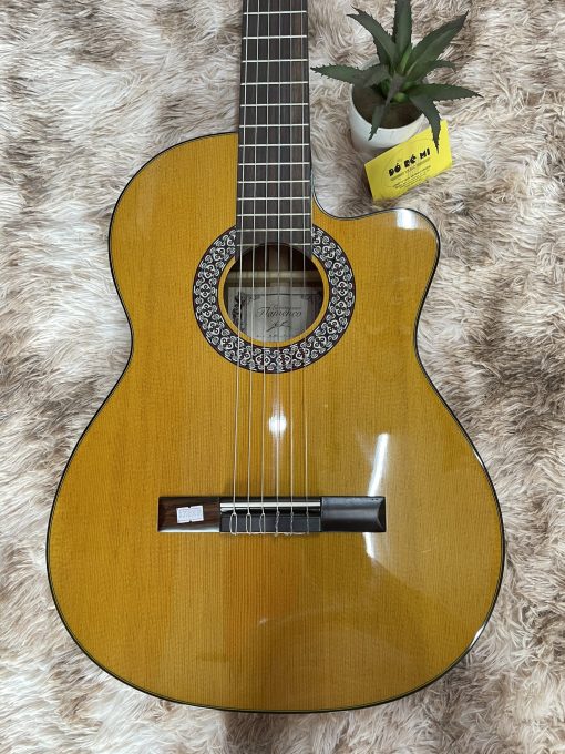Đàn Guitar Flamenco JX-10G - Hình ảnh 2
