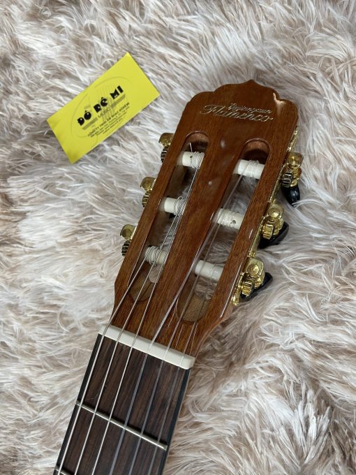 Đàn Guitar Flamenco JX-10G - Hình ảnh 5