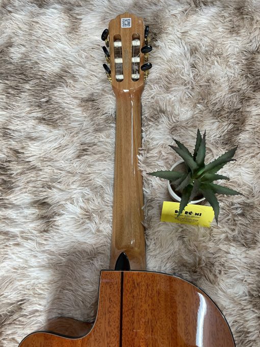Đàn Guitar Flamenco JX-10G - Hình ảnh 9